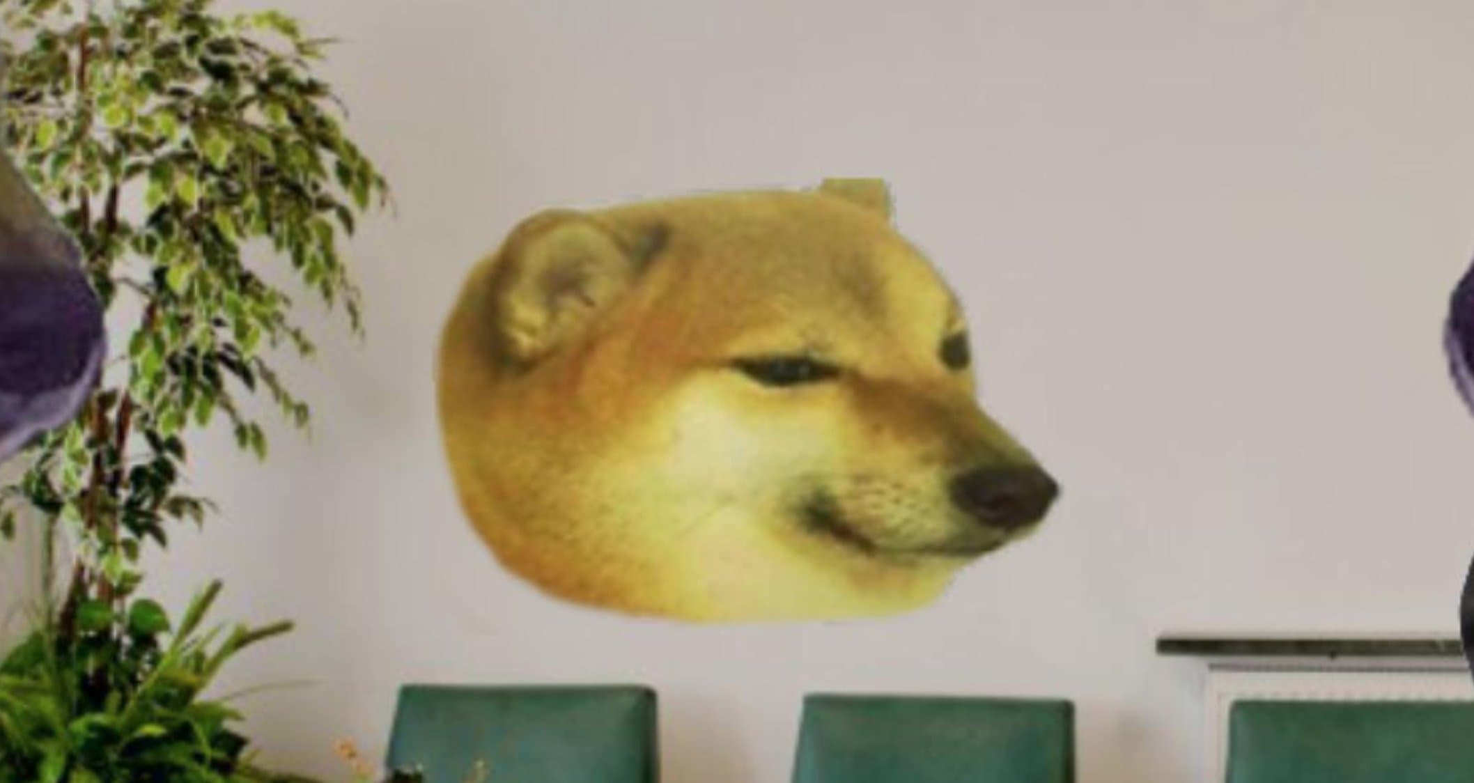 Balltze the Shiba Inu represented as the Cheems meme