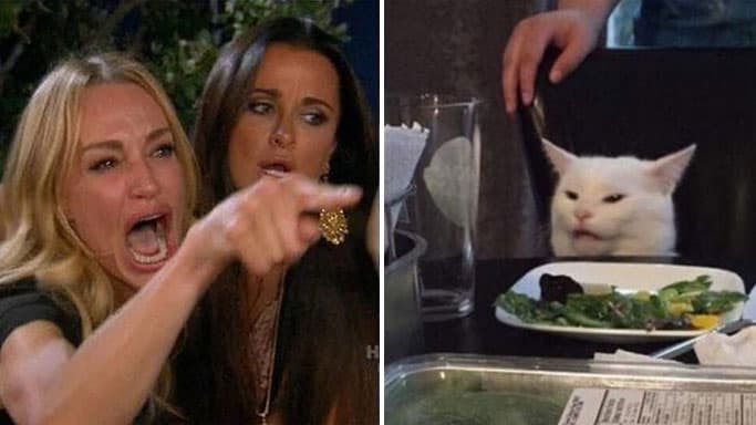 Woman Yelling at a Cat split-screen meme featuring Smudge the cat